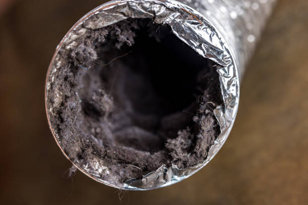 Best Duct Cleaning Specialists  in California, PA